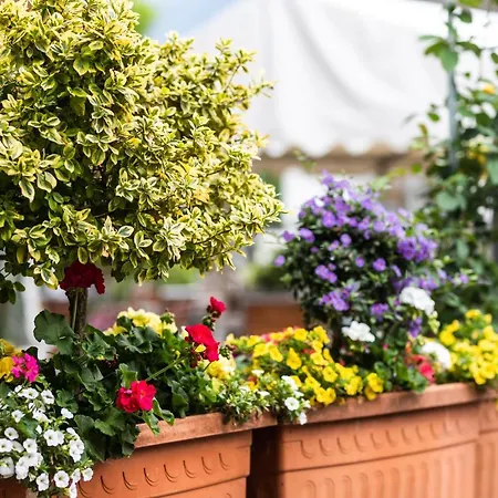 Apparthaus & Hofer Zell am Ziller